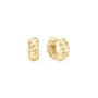 Anie Haie Bold Texture Small Oorbellen Verguld Zilver E063-06G